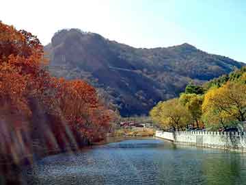 肉馅稀了如何变干点，黄山毛峰1875